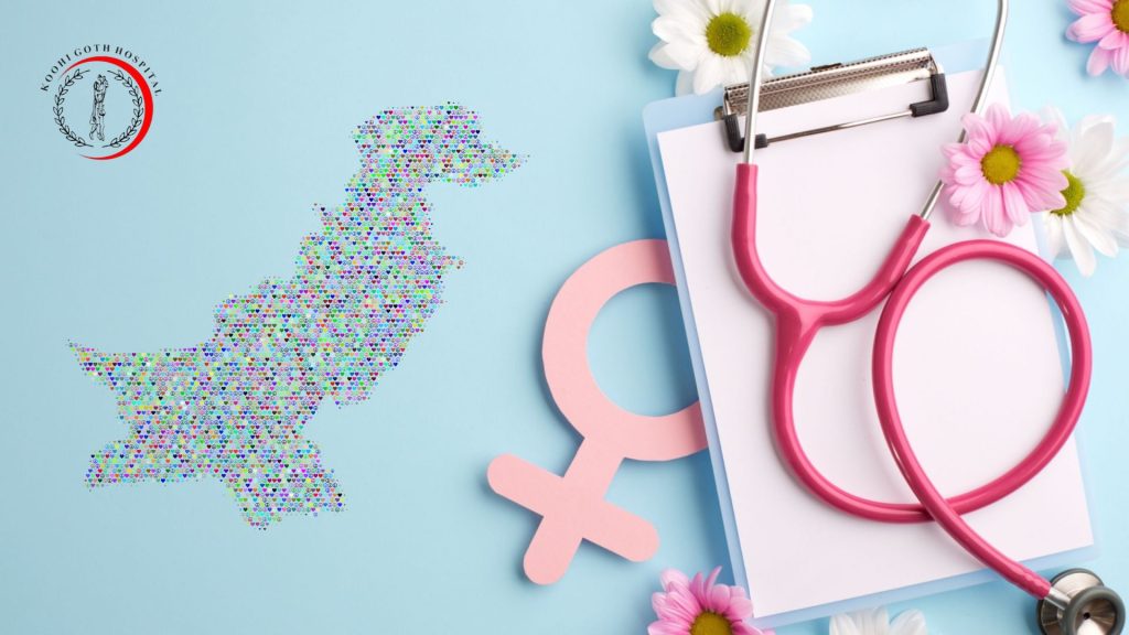 The Role of Free Women’s Healthcare in Reducing Maternal Mortality in Pakistan