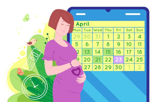 Pregnancy Week-by-Week Calculator: How It Works